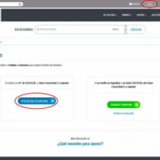 The new Owner must enter Nic.Ar to receive the domain
