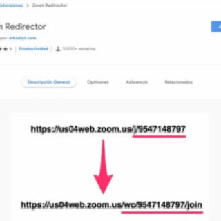 Using Zoom in your browser