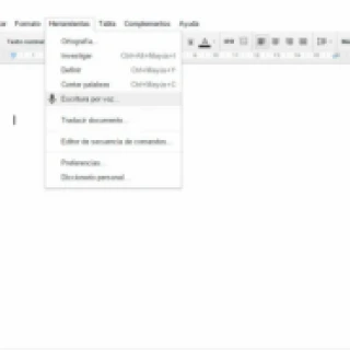voice typing