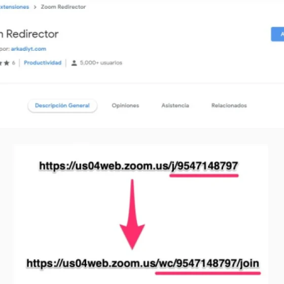 Using Zoom in your browser