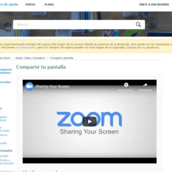 Zoom to share screen and use pause