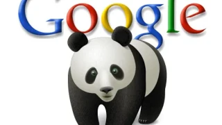What is Google Panda?
