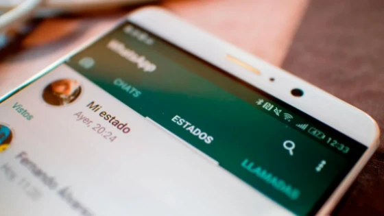 WhatsApp will delete files on November 12: How to prevent it