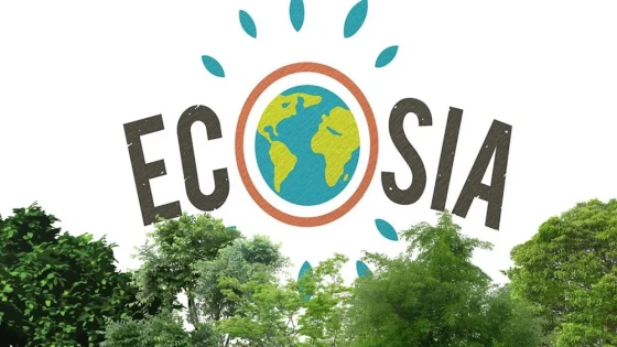 What is Ecosia? The eco-friendly internet search engine