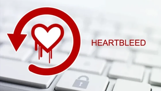 What is Heartbleed, how does it affect users and how to prevent it