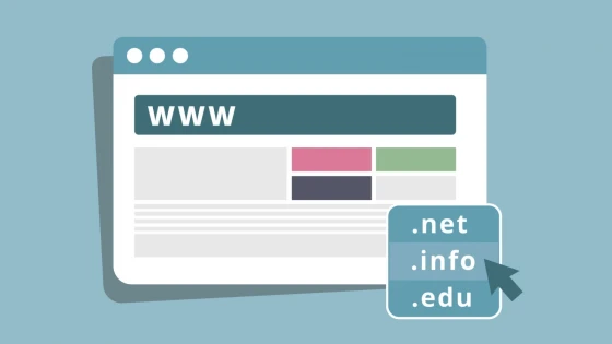 Starting the second week of January 2012, any web domain will be possible