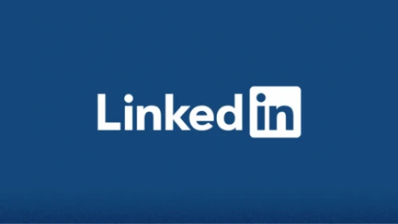 What is LinkedIn and what is it used for?